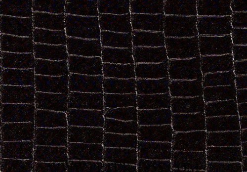 041.01 Black