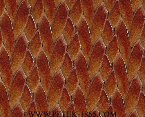 063.04 L.Brown